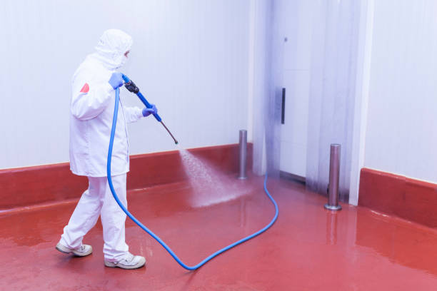 Trusted Francisville, KY Pressure Washing Services Experts